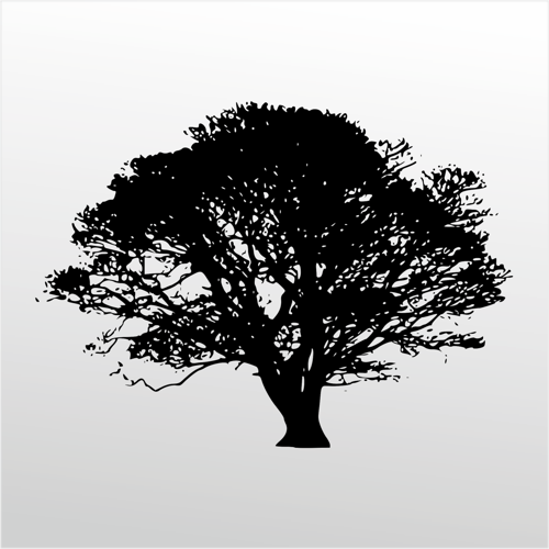 Folyo Sticker Ağaç 200cm Uzunluk