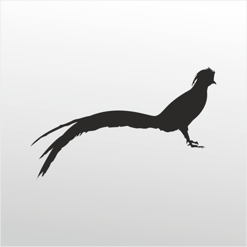 Folyo Sticker Anka Kuşu 130cm Uzunluk