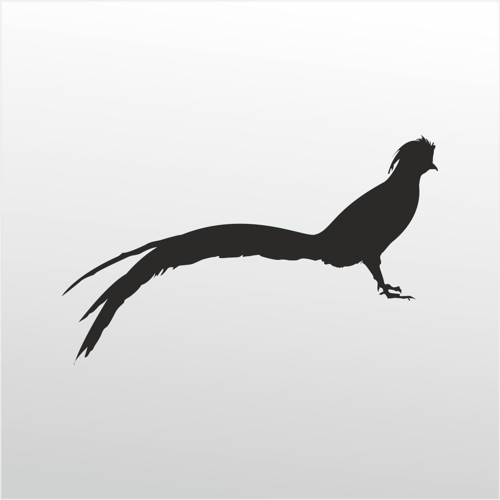 Folyo Sticker Anka Kuşu 160cm Uzunluk