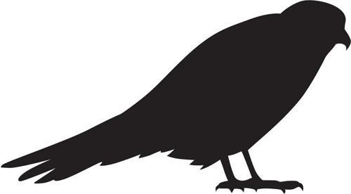 Folyo Sticker Arı Kuşu 40cm Uzunluk