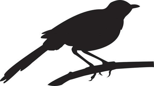 Folyo Sticker Arı Kuşu 90 cm uzunluk