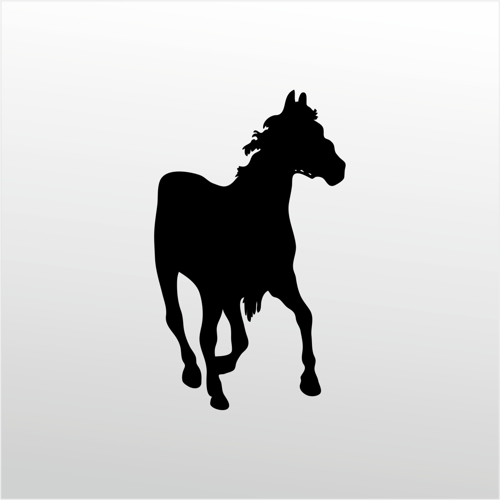 Folyo Sticker At 160cm Uzunluk