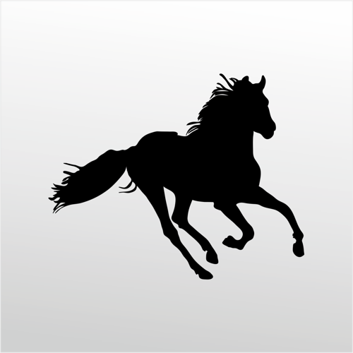 Folyo Sticker At 160cm Uzunluk