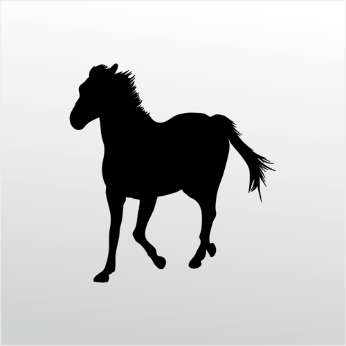 Folyo Sticker At 160cm Uzunluk