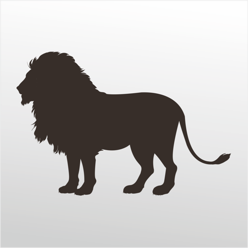 Folyo Sticker Aslan 90 cm uzunluk