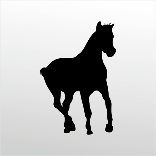 Folyo Sticker At 30cm Uzunluk