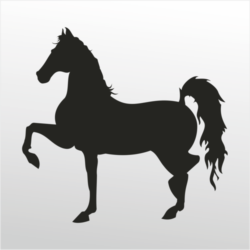 Folyo Sticker At 40cm Uzunluk