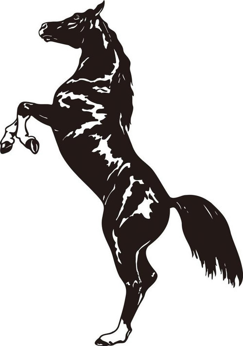 Folyo Sticker At 40cm Uzunluk