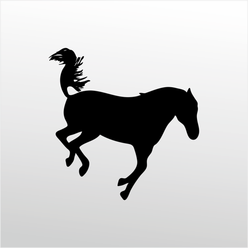 Folyo Sticker At 60cm Uzunluk