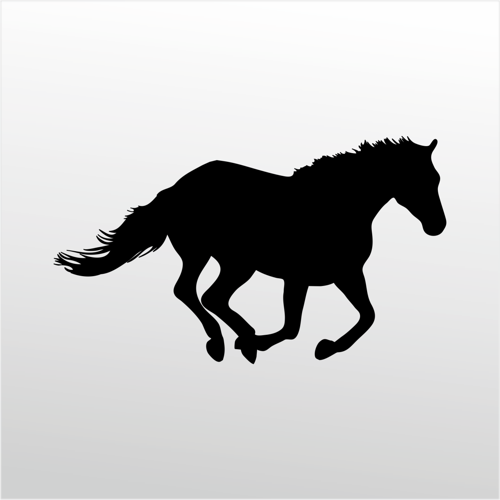 Folyo Sticker At 60cm Uzunluk