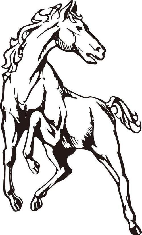 Folyo Sticker At 70cm Uzunluk