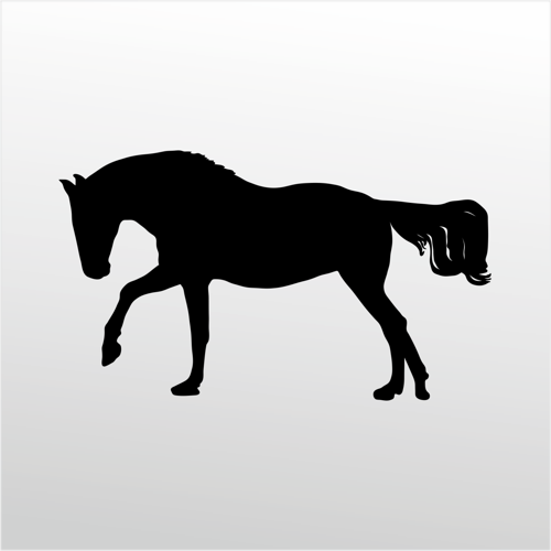 Folyo Sticker At 70cm Uzunluk