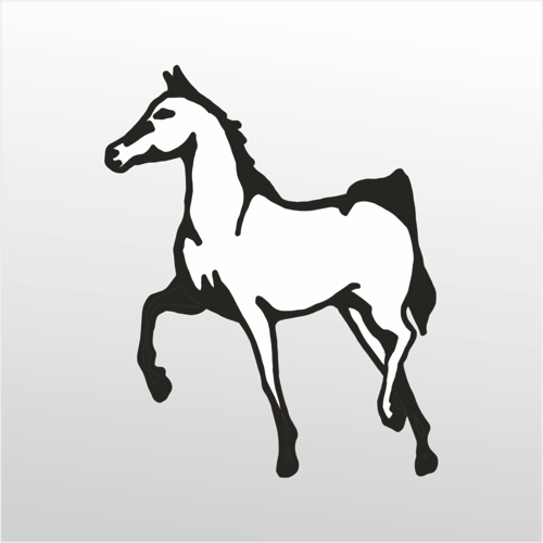 Folyo Sticker At 60cm Uzunluk