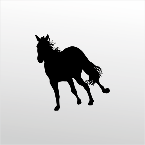 Folyo Sticker At 60cm Uzunluk