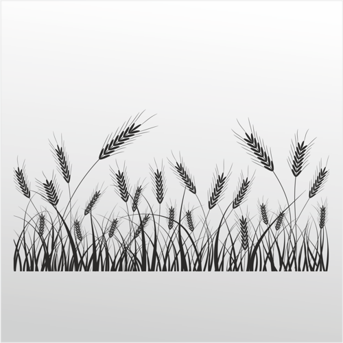 Folyo Sticker Buğday 160cm Uzunluk