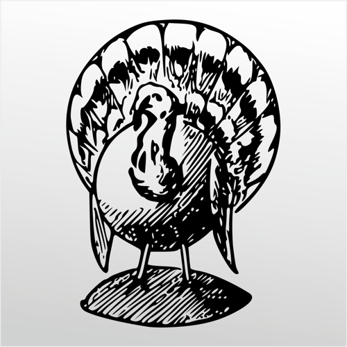 Folyo Sticker Hindi 50cm Uzunluk