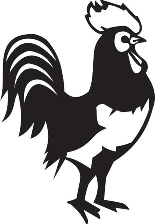 Folyo Sticker Horoz 80cm Uzunluk