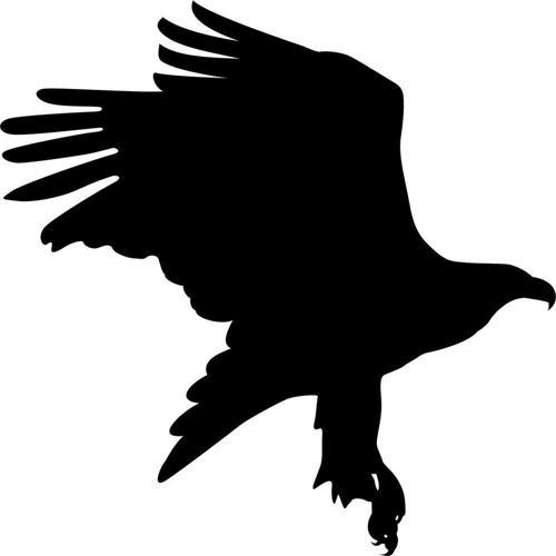 Folyo Sticker Kartal 20cm uzunluk