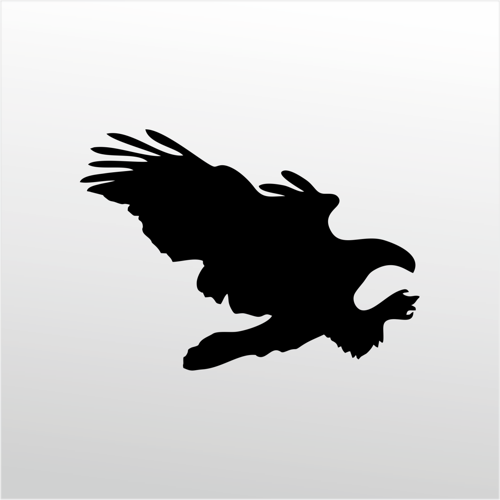 Folyo Sticker Kartal 20cm uzunluk