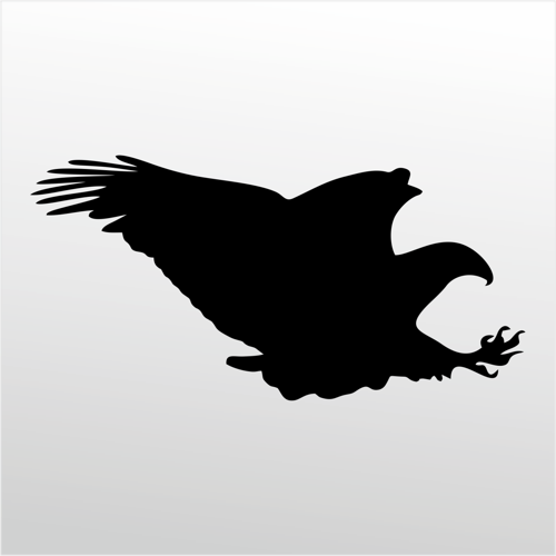 Folyo Sticker Kartal 40cm Uzunluk