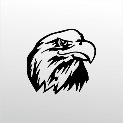 Folyo Sticker Kartal 50cm Uzunluk