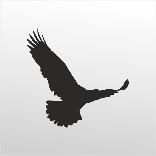 Folyo Sticker Kartal 100cm Uzunluk