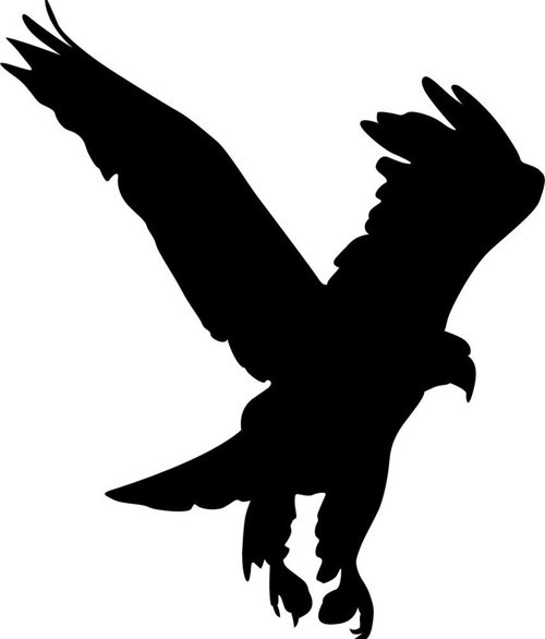 Folyo Sticker Kartal 90 cm uzunluk