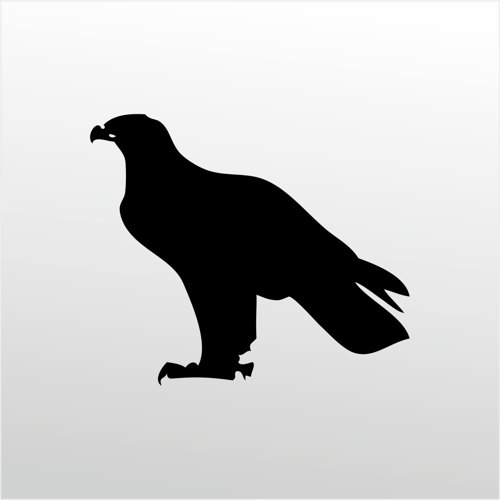 Folyo Sticker Kartal 90 cm uzunluk