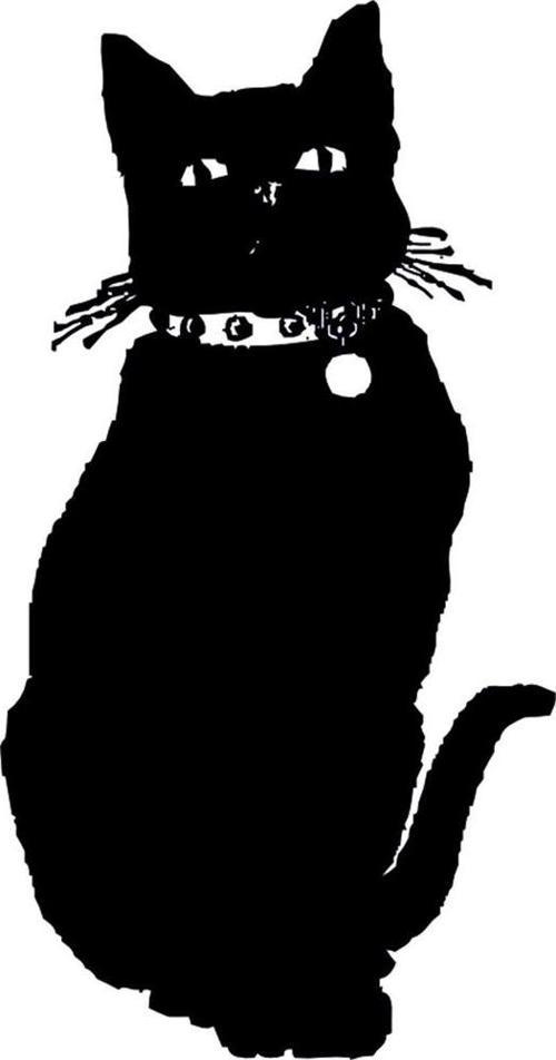 Folyo Sticker Kedi 200cm Uzunluk