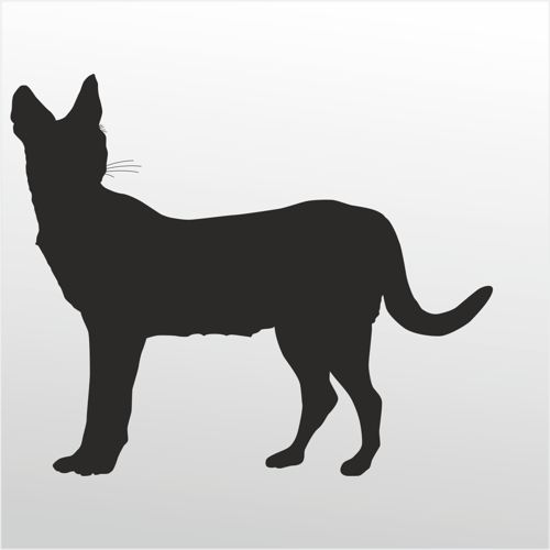 Folyo Sticker Kedi 30cm Uzunluk
