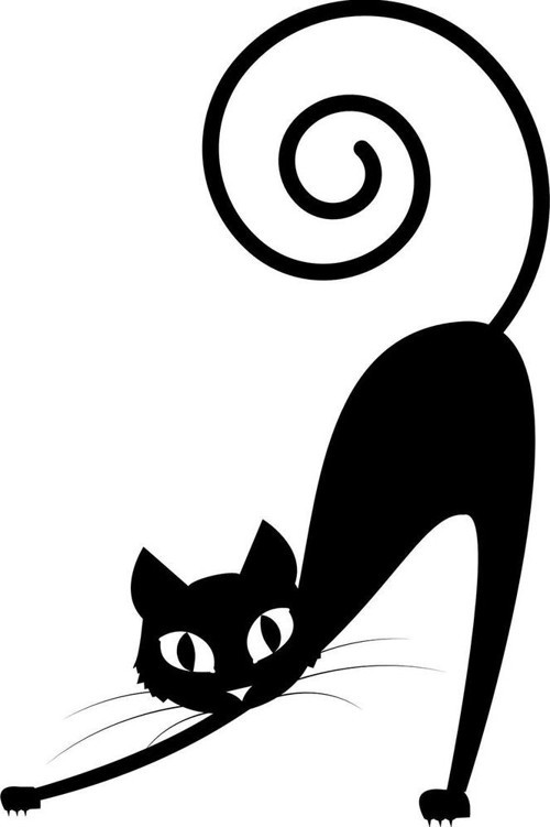 Folyo Sticker Kedi 40cm Uzunluk
