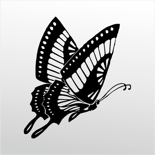 Folyo Sticker Kelebek 30cm Uzunluk