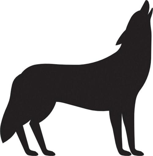 Folyo Sticker Kurt 90 cm uzunluk