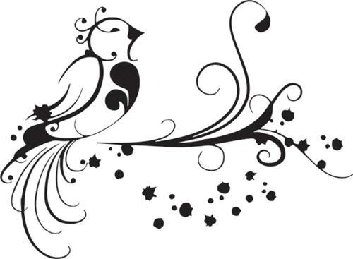 Folyo Sticker Kuş Deseni 200cm Uzunluk