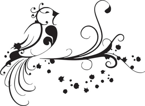 Folyo Sticker Kuş Deseni 90 cm uzunluk