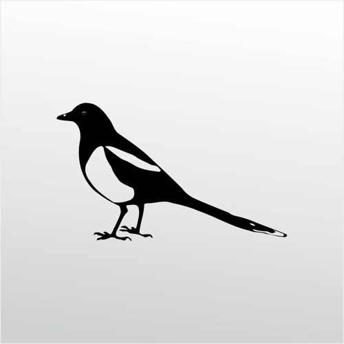 Folyo Sticker Muhabbet Kuşu 20cm uzunluk