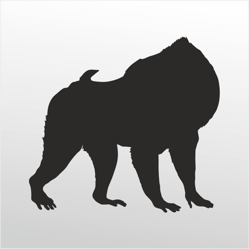 Folyo Sticker Orangutan 80cm Uzunluk