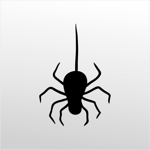 Folyo Sticker Örümcek 100cm Uzunluk