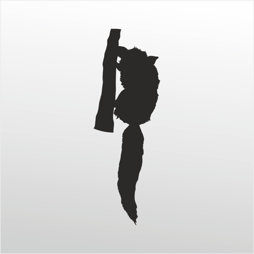 Folyo Sticker Rakun 60cm Uzunluk