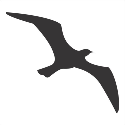 KUŞ FOLYO STİCKER 100cm Uzunluk