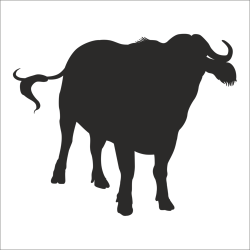 MANDA FOLYO STİCKER 70cm Uzunluk