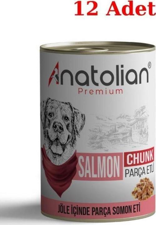 Adult Salmon Somonlu Parça Etli Yetişkin Köpek Konservesi 400 gr 12 Adet