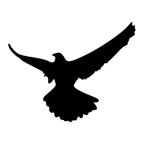 KARTAL FOLYO STİCKER 40cm Uzunluk