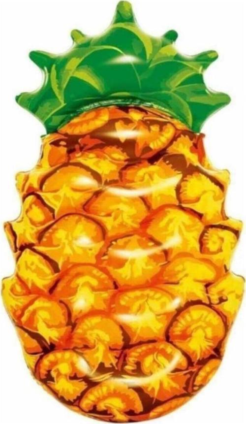 Şişme Deniz Yatağı Koltuk Ananas Desenli - 43310
