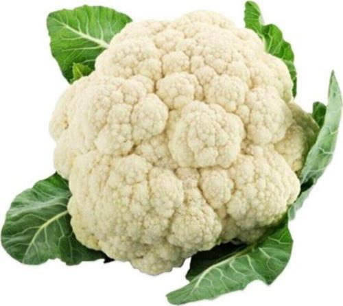 Karnabahar 1,5 Kg