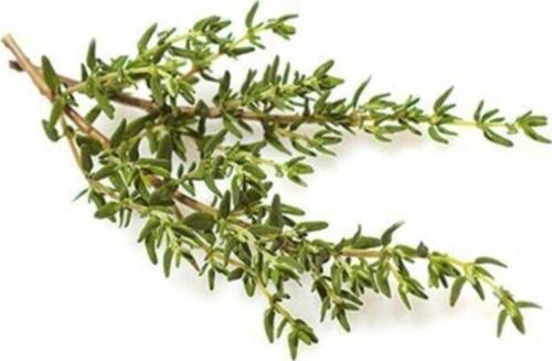 Kekik 25gr'lık 1 Paket Taze Baharat