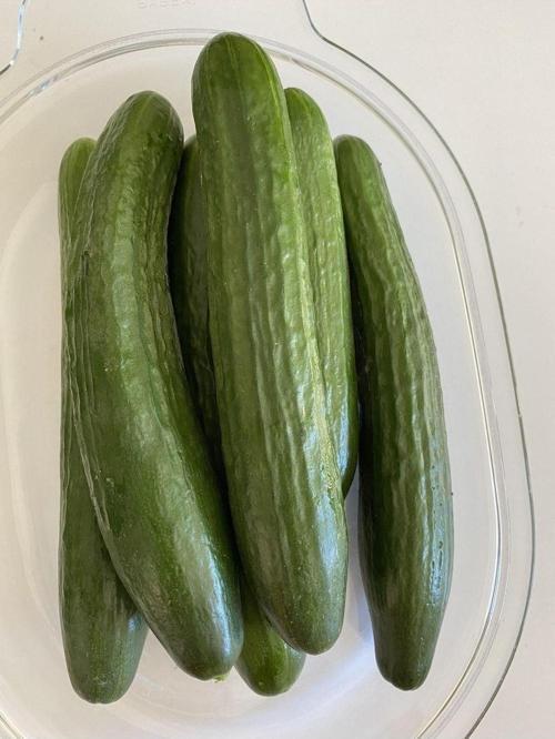 Salatalık taze 1 kg