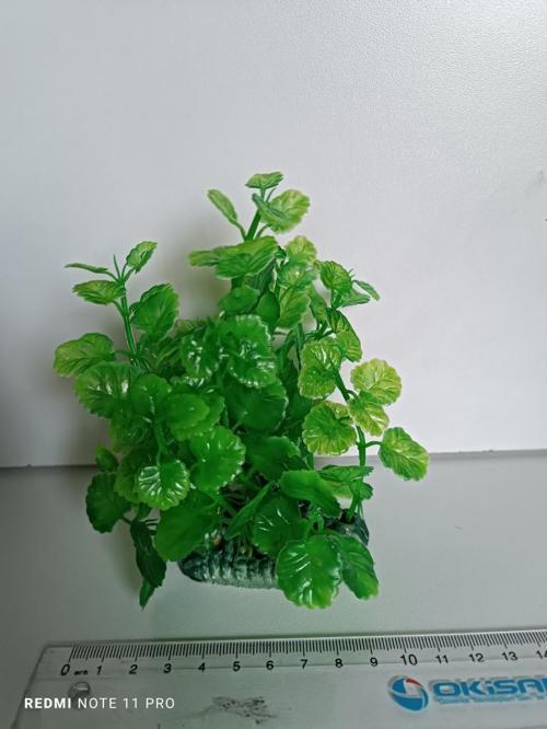 Akvaryum Plastik Bitki 11X11X6 cm M-413