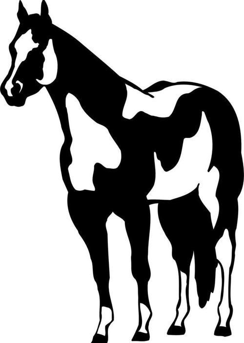 AT FOLYO STİCKER 80cm Uzunluk