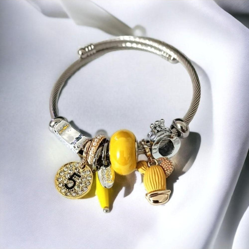 Kadın Zirkon Taşlı Charm Çelik Bileklik